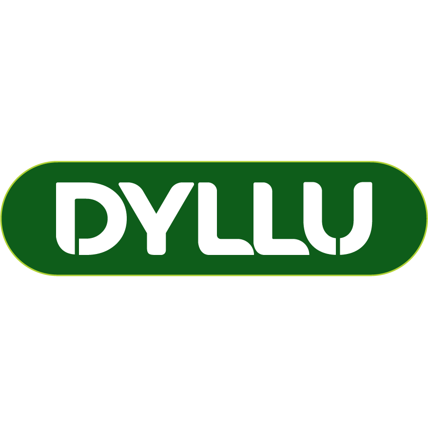 Инструменты DYLLU